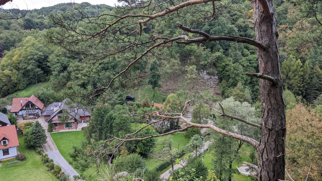 Apartmán Agroturystyka Spa Zelków Exteriér fotografie